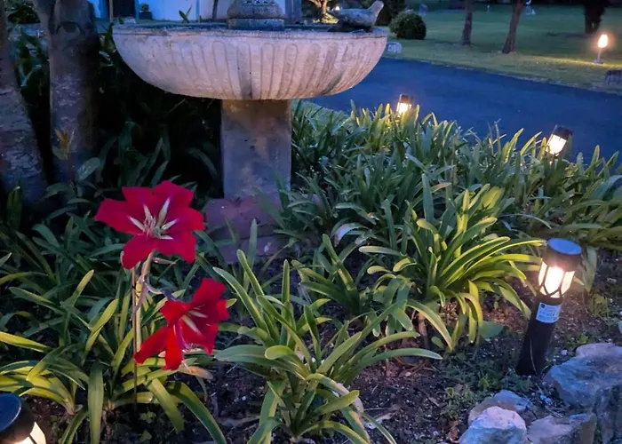 La Merced * 로레도